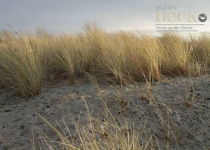 Moevdeck Heiligenhafen